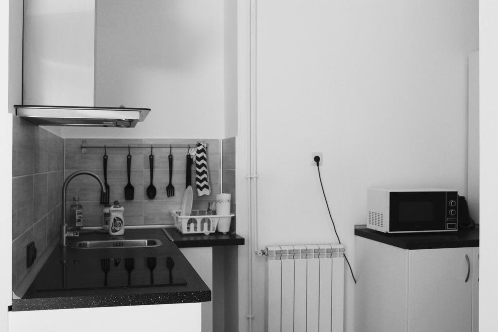 Apartament Central Cismigiu Бухарест Екстер'єр фото